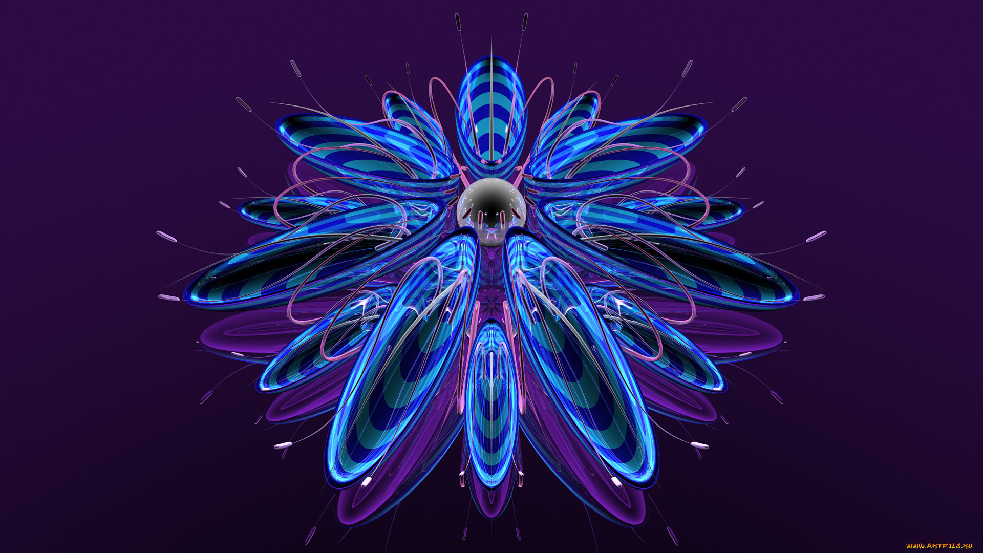 3 ,  , flowers, 